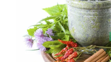 پایگاه اطلاع رسانی ایران