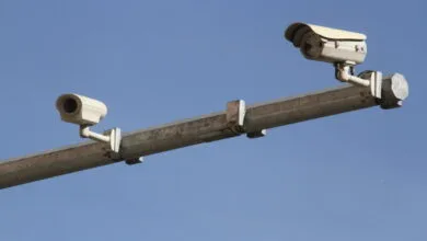 5079016.jpg