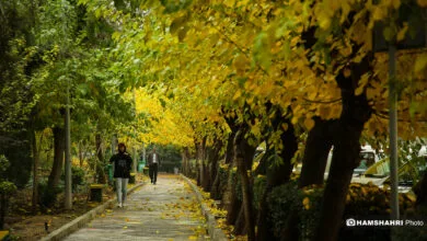 پایگاه اطلاع رسانی ایران