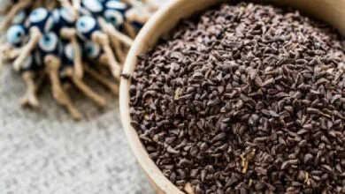پایگاه اطلاع رسانی ایران