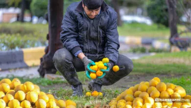 پایگاه اطلاع رسانی ایران