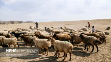 پایگاه اطلاع رسانی ایران