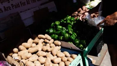 پایگاه اطلاع رسانی ایران