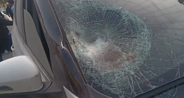91680.jpg
