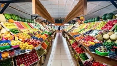 قیمت میوه در میادین میوه و تره بار شهر تهران اعلام شد