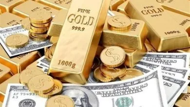 پایگاه اطلاع رسانی ایران