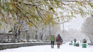 یخبندان در مراکز این استان ها