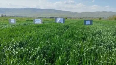 پایگاه اطلاع رسانی ایران