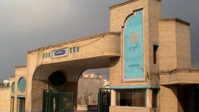 4950029.jpg
