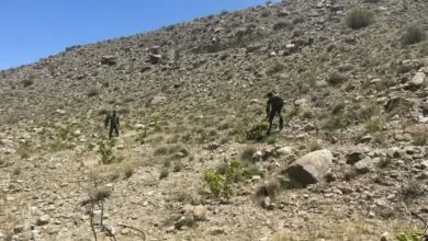 پایگاه اطلاع رسانی ایران