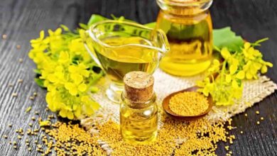 ماجرای صدور مجوز سلامت‌بخش روغن تنها با یک مطالعه