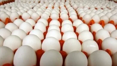 پایگاه اطلاع رسانی ایران
