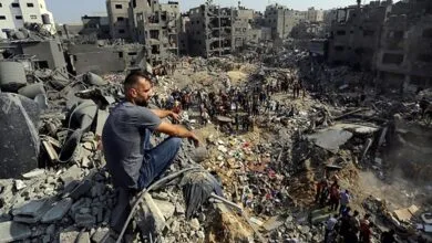 5026530.jpg
