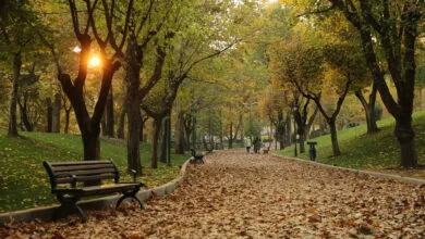 پایگاه اطلاع رسانی ایران