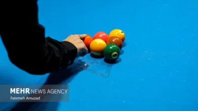 5102708.jpg