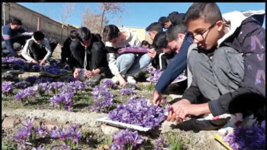 خودکفایی دانش‌آموزان بیجاری