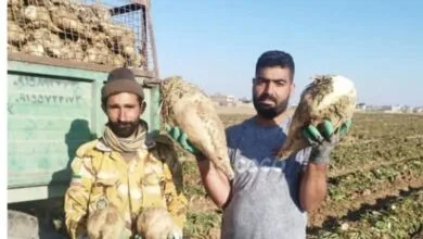 پایگاه اطلاع رسانی ایران