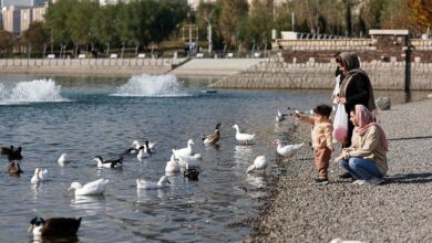 به تماشای پرندگان مهاجر در غرب تهران