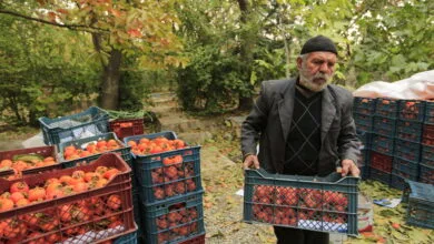 پایگاه اطلاع رسانی ایران