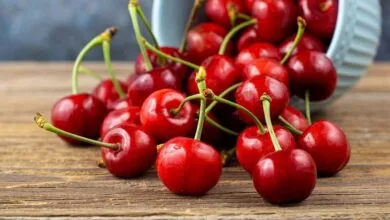 این گیاهان و میوهها برای درد خوب هستند این گیاهان و میوهها برای درد خوب هستند