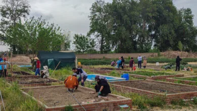 پایگاه اطلاع رسانی ایران