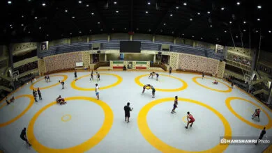 5115702.jpg