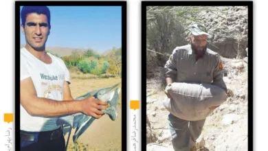 پایگاه اطلاع رسانی ایران