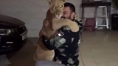 پایگاه اطلاع رسانی ایران