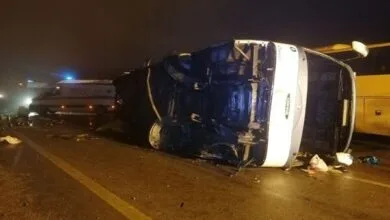 5163579.jpg