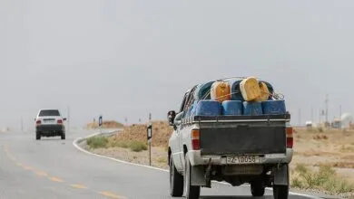 5260993.jpg