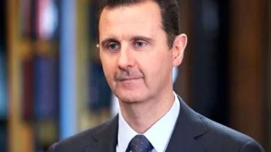 5279671.jpg