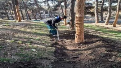 پایگاه اطلاع رسانی ایران