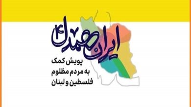 «ایران همدل» بسیار بیشتر از پویش‌های گذشته مورد استقبال مردم قرار گرفت