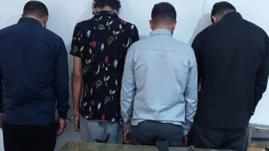 5284753.jpg