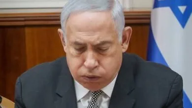 5285015.jpg