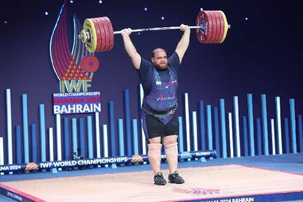 5290908.jpg
