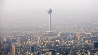 57314.jpg