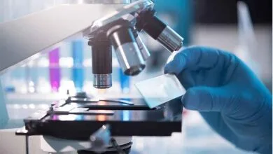پایگاه اطلاع رسانی ایران
