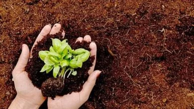 پایگاه اطلاع رسانی ایران