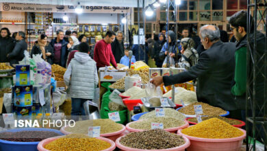 نمایشگاه یلدانه در یاسوج برپا شد