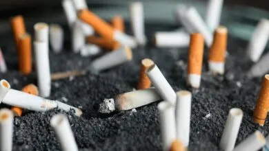 62912604.jpg