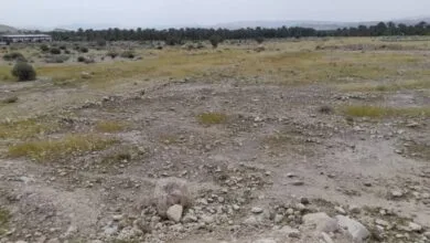 پایگاه اطلاع رسانی ایران