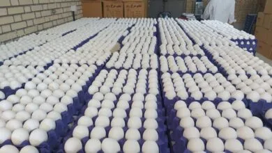 پایگاه اطلاع رسانی ایران