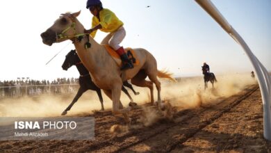 نفرات برتر هفته هفتم کورس اسبدوانی پاییزه گنبدکاووس اعلام شد