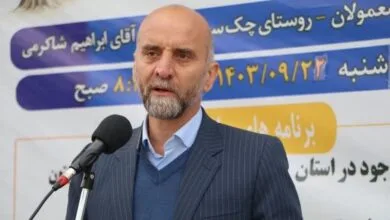 کشت ۵۰۰ هکتار باغات زیتون در لرستان کشت ۵۰۰ هکتار باغات زیتون در لرستان