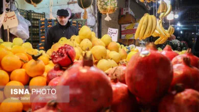 پایگاه اطلاع رسانی ایران