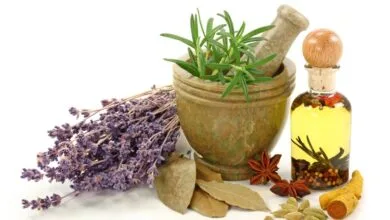 پایگاه اطلاع رسانی ایران