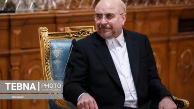 هماهنگی خوب امروز دولت و مجلس برای ایجاد ثبات نسبی در بازار ارز