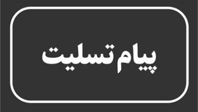 پیام تسلیت وزیر تعاون، کار و رفاه اجتماعی در پی درگذشت مهدی علیرضایی خبرنگار حوزه وزارت کار خبرگزاری تسنیم