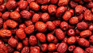 پایگاه اطلاع رسانی ایران
